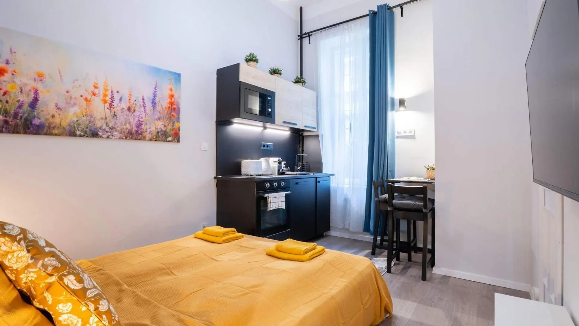 Sonoma Boutique Rooms Nr 4 Budapeşte